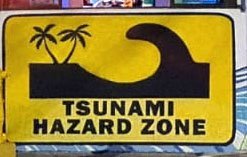 Buy Tsunami Club and Restaurant