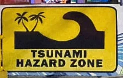 Buy Tsunami Club and Restaurant